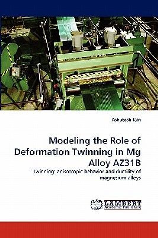 Modeling the Role of Deformation Twinning in Mg Alloy AZ31B