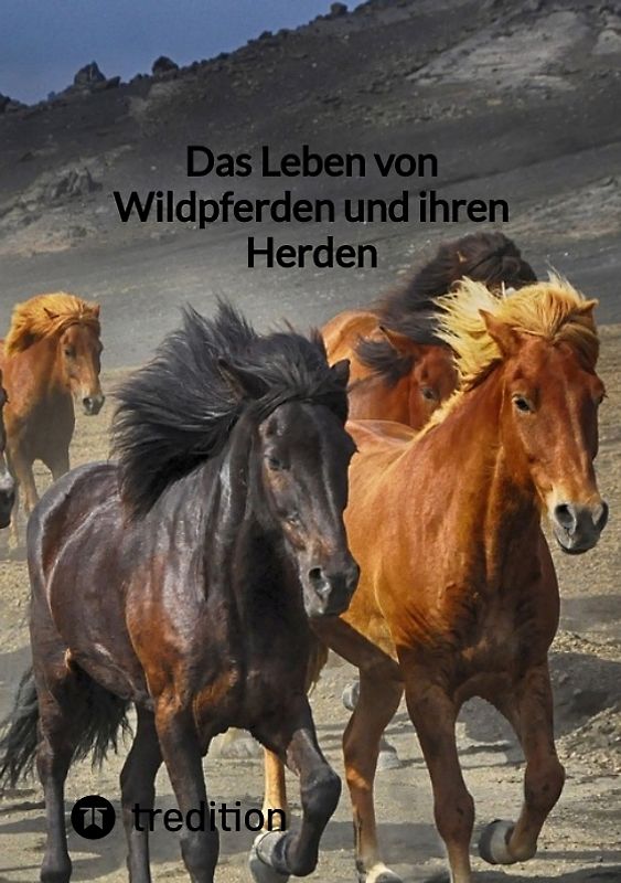 Das Leben von Wildpferden und ihren Herden