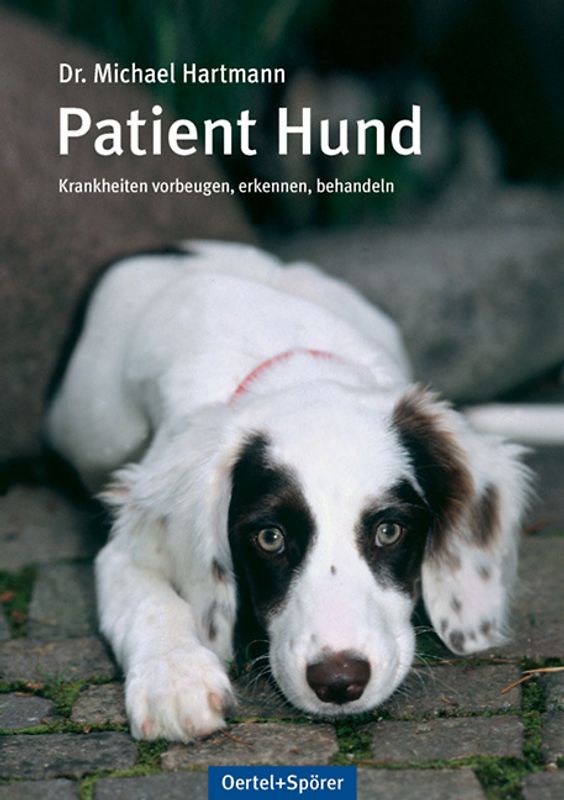 Patient Hund