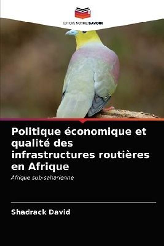 Politique économique et qualité des infrastructures routières en Afrique