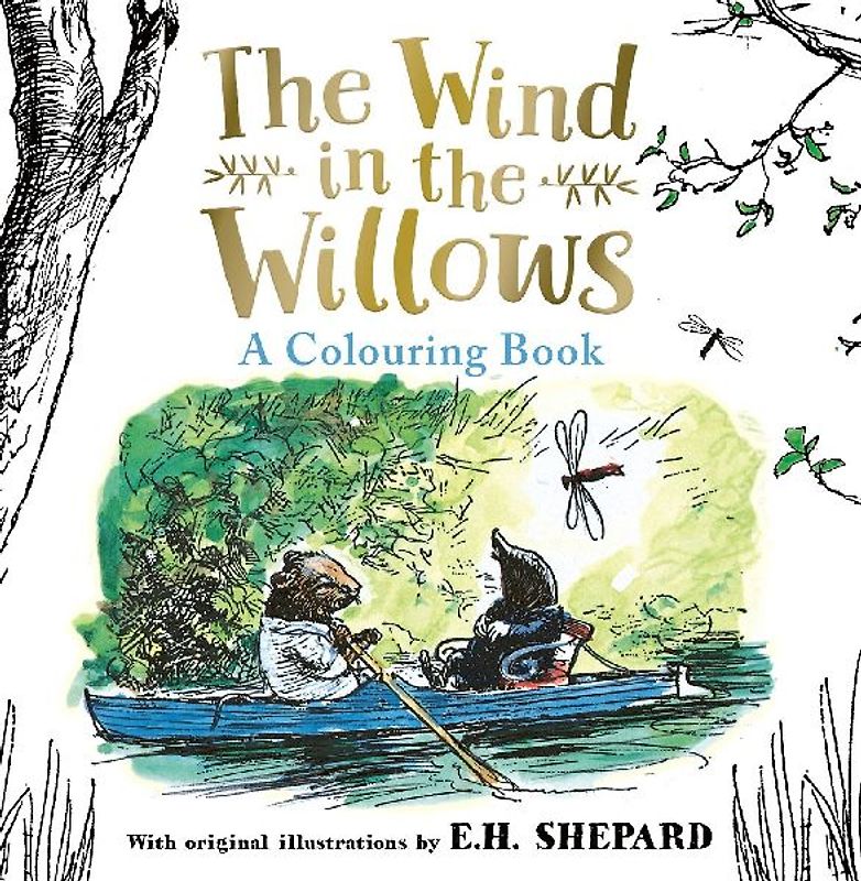 Wind in the Willows Colouring Book