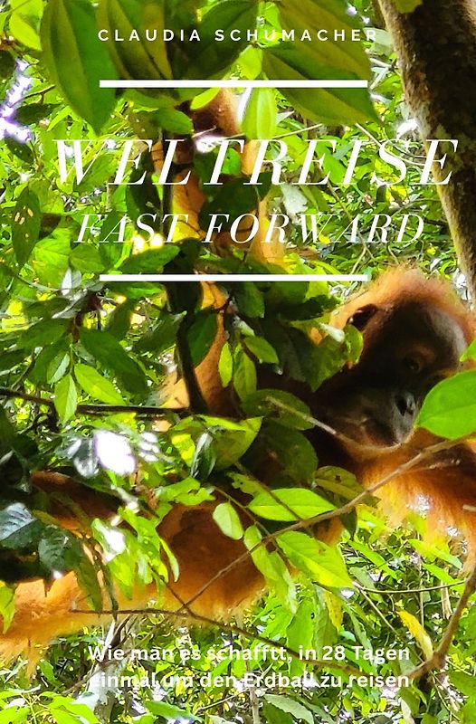 WELTREISE fast forward