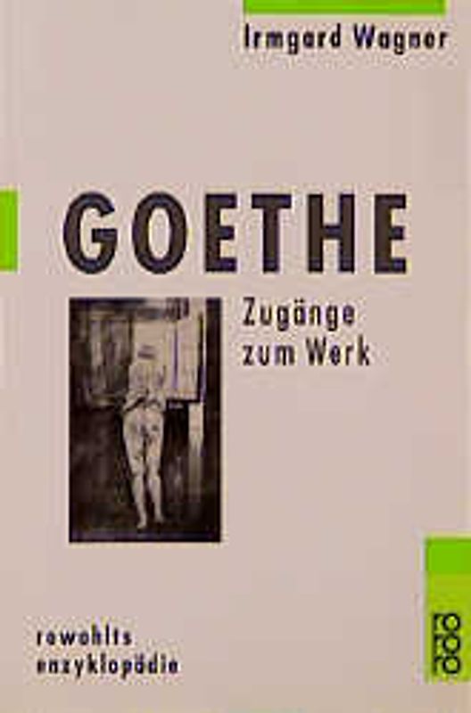 Goethe. Zugänge zum Werk