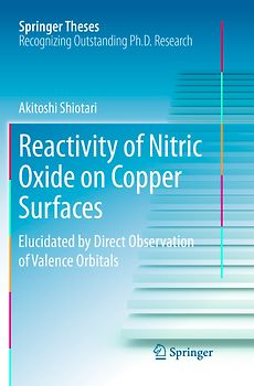 Reactivity of Nitric Oxide on Copper Surfaces