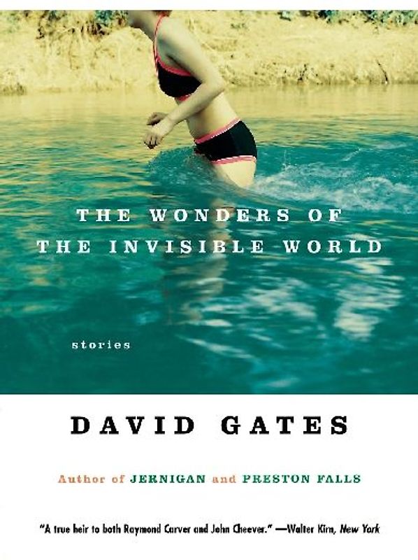 The Wonders of the Invisible World