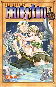 Fairy Tail 45