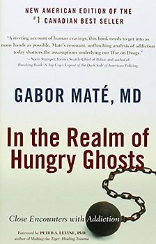 In the Realm of Hungry Ghosts: Close Encounters with Addiction - Mate M.D., Gabor