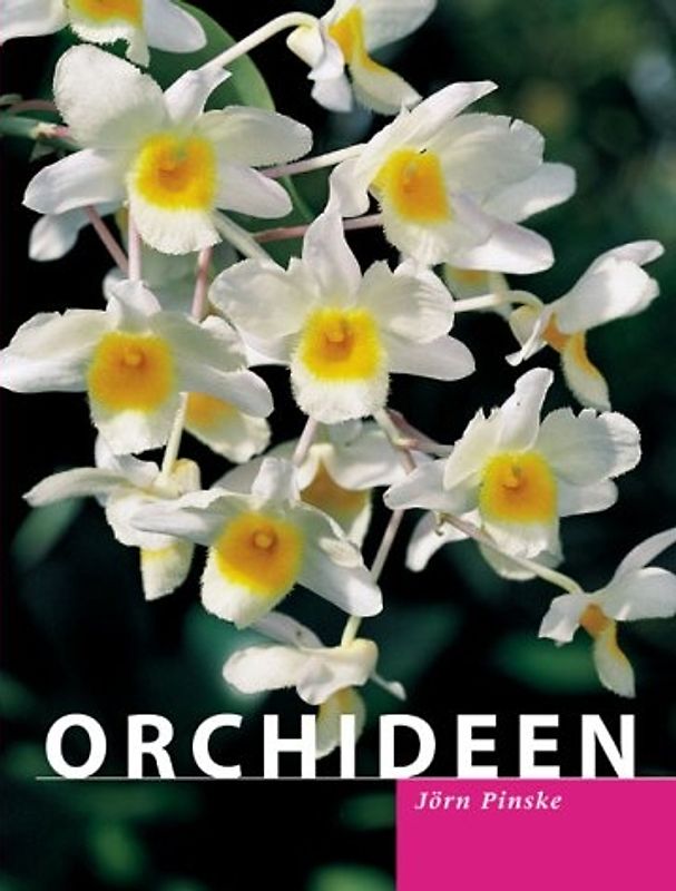 Orchideen