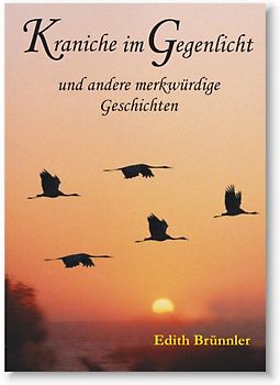 Kraniche im Gegenlicht