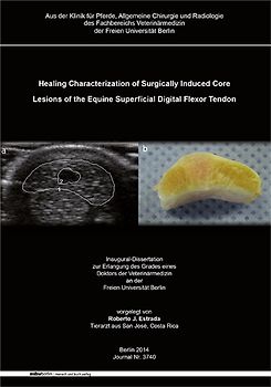 Healing Characterization of Surgically Induced Core Lesions of the Equine Superficial Digital Flexor Tendon