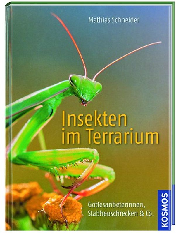 Kosmos: Insekten im Terrarium