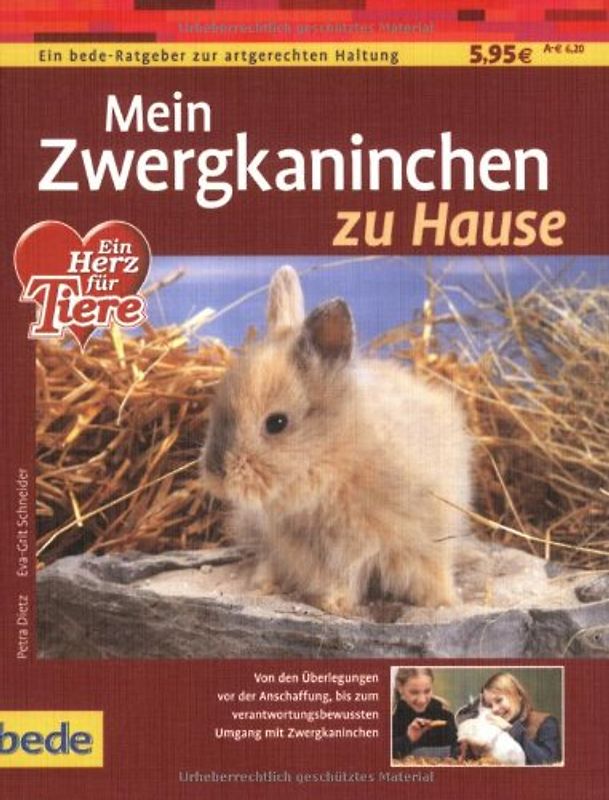 Mein Zwergkaninchen zu Hause