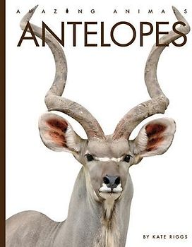 Antelopes