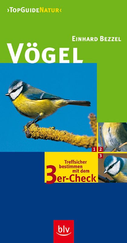 Vögel
