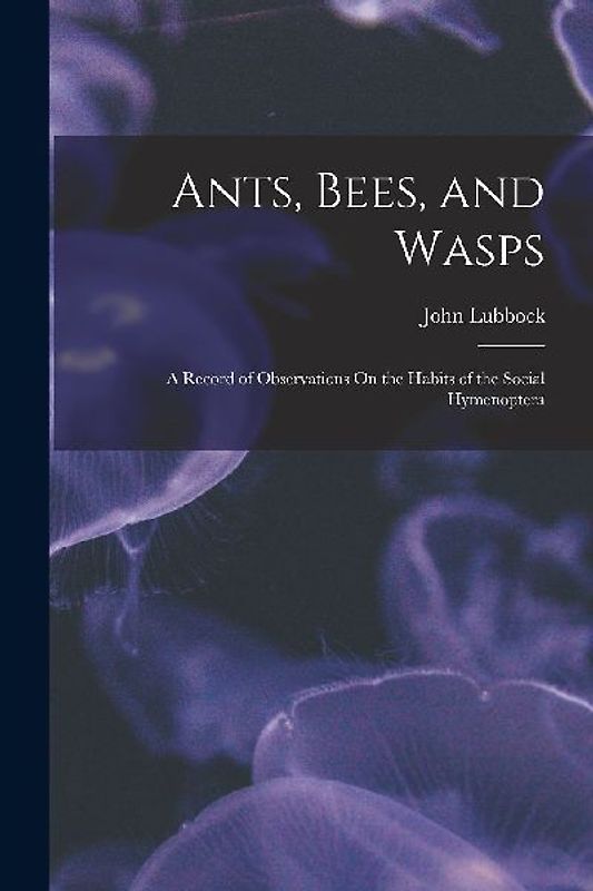 Ants, Bees, and Wasps