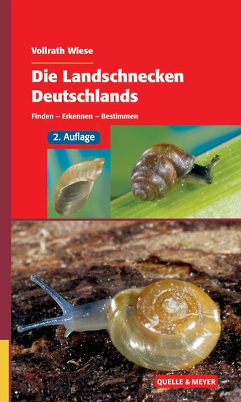 Die Landschnecken Deutschlands