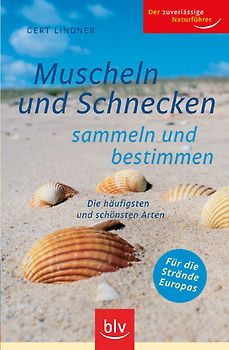 Muscheln und Schnecken sammeln und bestimmen