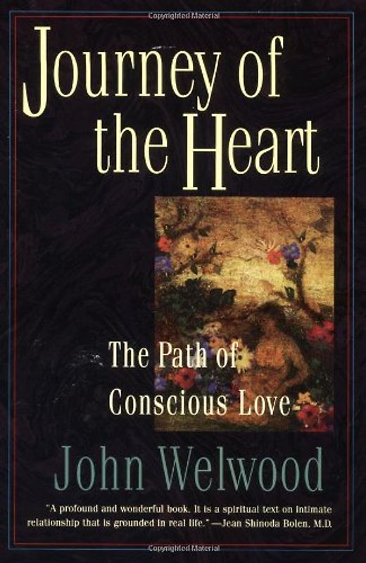 Journey of the Heart: Path of Conscious Love, The: Intimate Relationships and the Path of Love - John Welwood