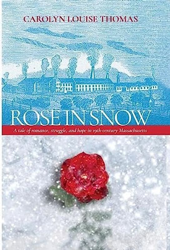 Rose in Snow