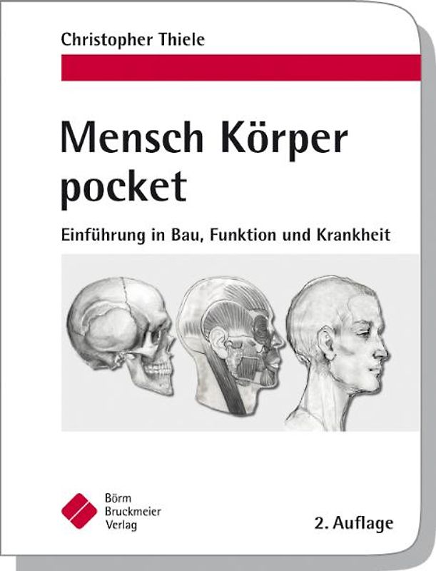 Mensch Körper pocket