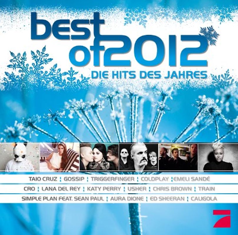 Various - Best Of 2012 - Hits des Jahres