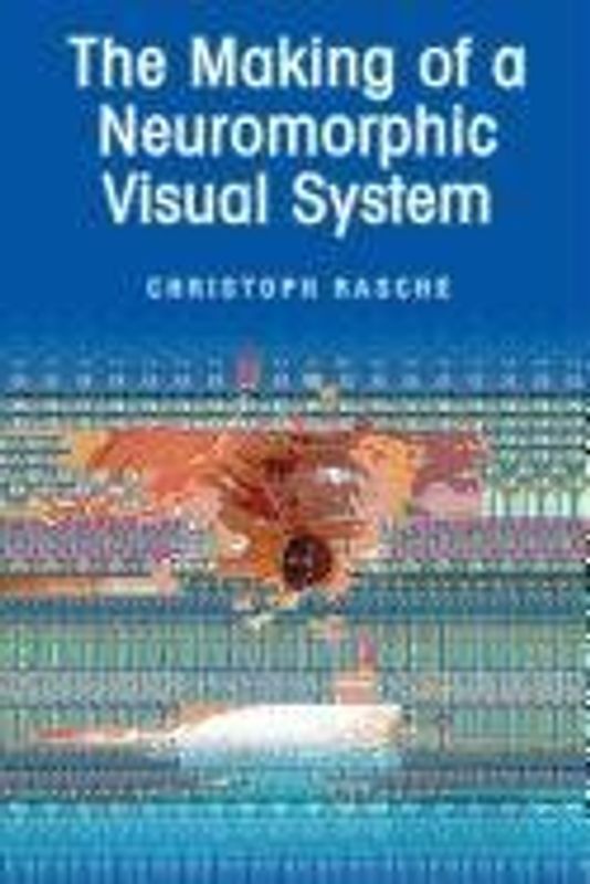 The Making of a Neuromorphic Visual System