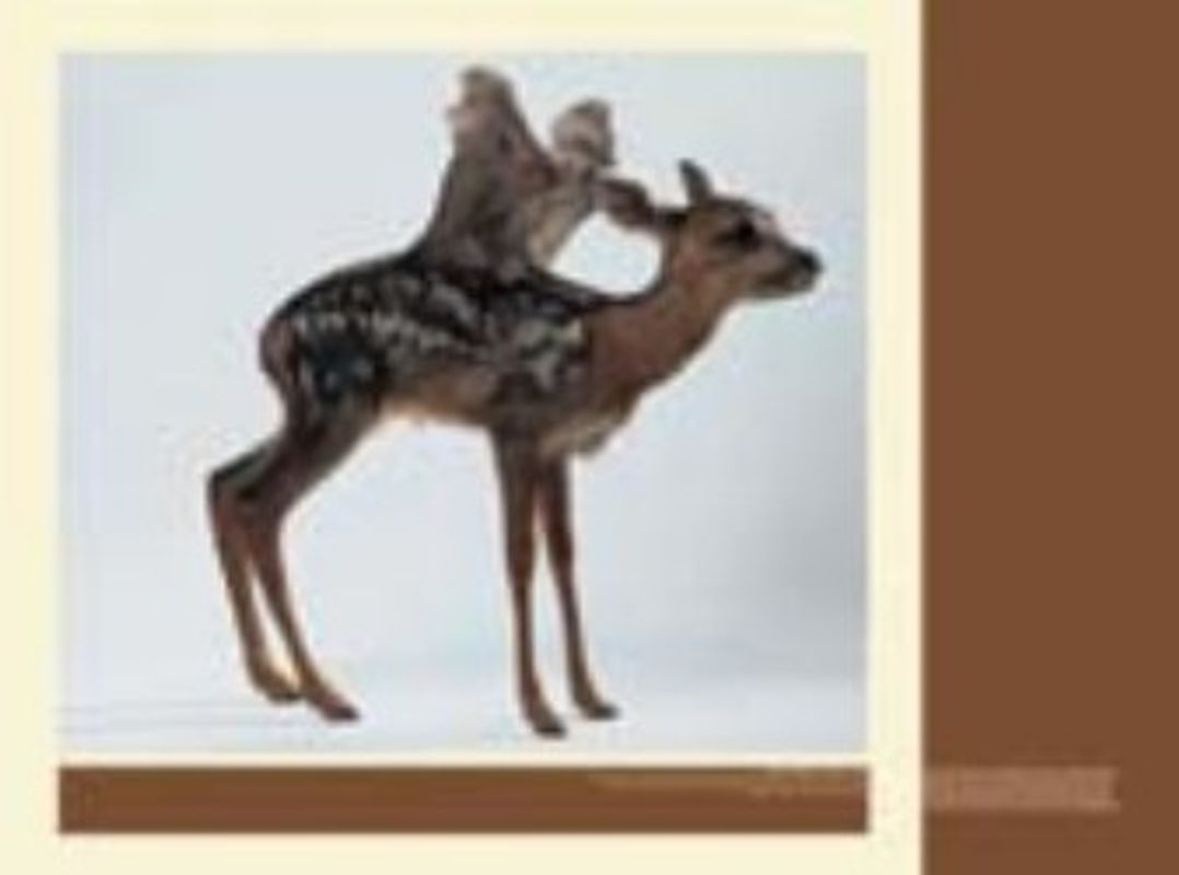 Kunst und Gentechnologie