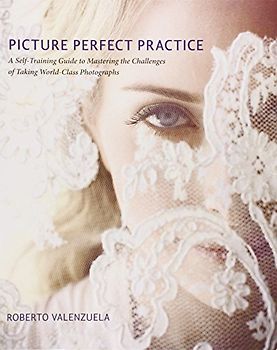 Picture Perfect Practice: A Self-Training Guide to Mastering the Challenges of Taking World-Class Photographs (Voices That Matter) - Roberto Valenzuela