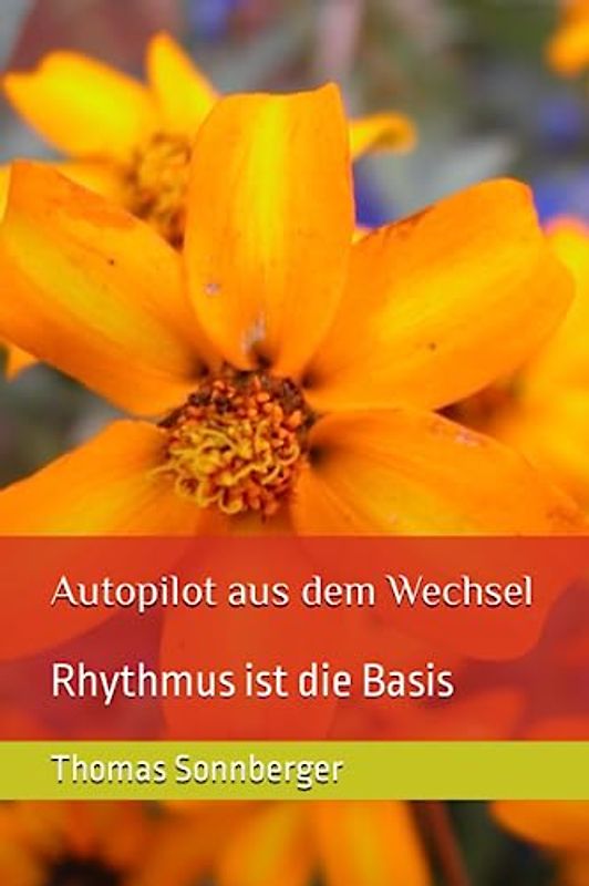 Autopilot aus dem Wechsel: Rhythmus ist die Basis