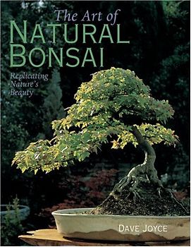 The Art of Natural Bonsai: Replicating Nature's Beauty