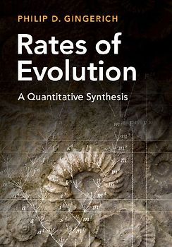 Rates of Evolution