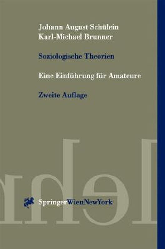 Soziologische Theorien. Eine Einführung für Amateure