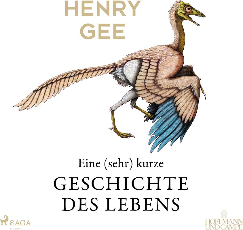 Eine (sehr) kurze Geschichte des Lebens