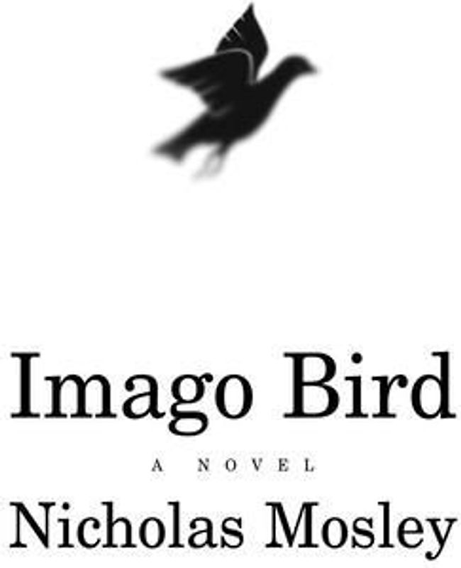 Imago Bird