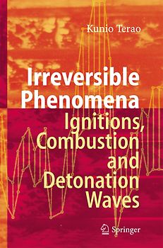 Irreversible Phenomena