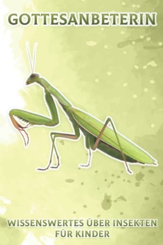 Gottesanbeterin: Wissenswertes über Insekten für Kinder #2