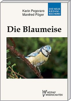 Die Blaumeise