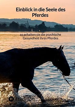 Einblick in die Seele des Pferdes – so erhalten sie die psychische Gesundheit ihres Pferdes