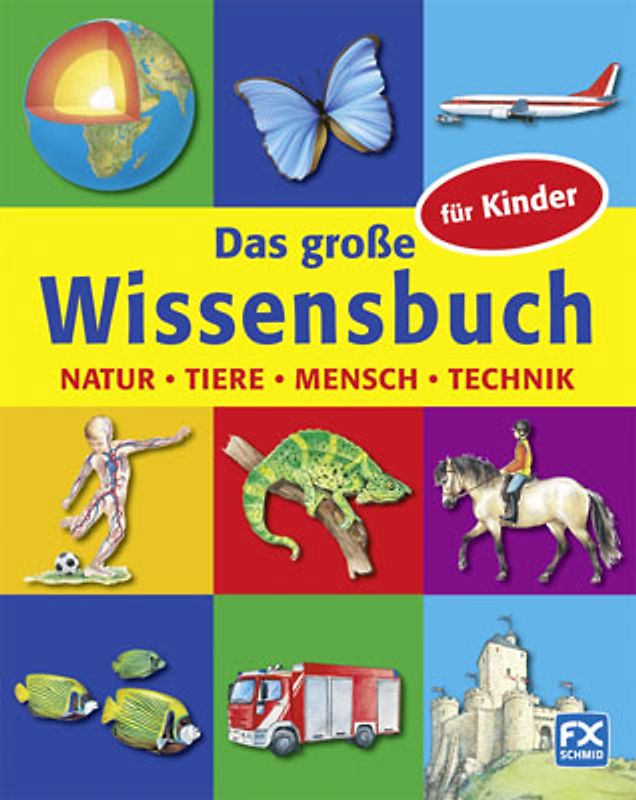 Das große Wissensbuch