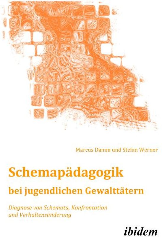 Schemapädagogik bei jugendlichen Gewalttätern