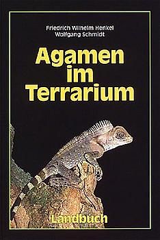 Agamen im Terrarium