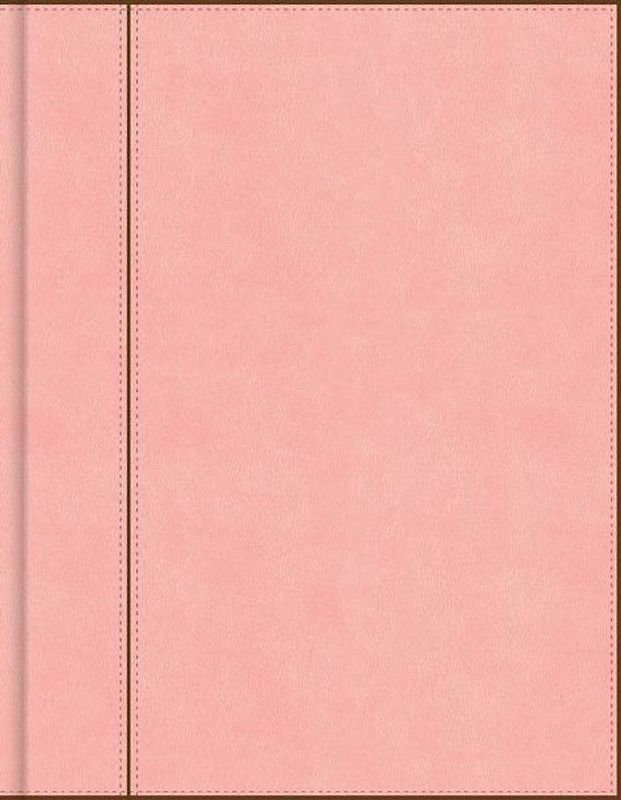 CSB Notetaking Bible, Pink Leathertouch