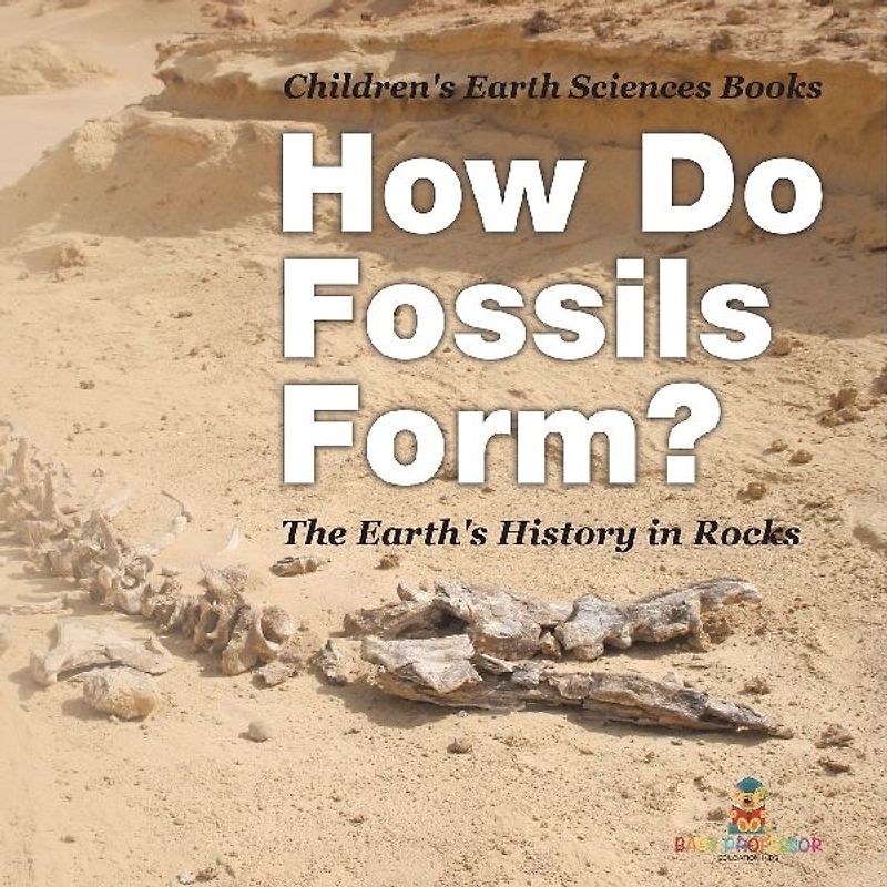 How Do Fossils Form? The Earth's History in Rocks | Children's Earth Sciences Books