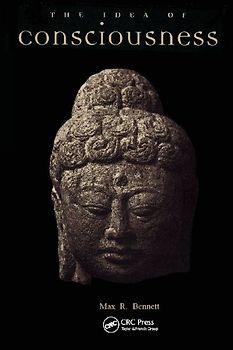 Idea of Consciousness