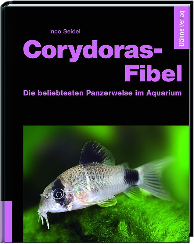 Corydoras-Fibel