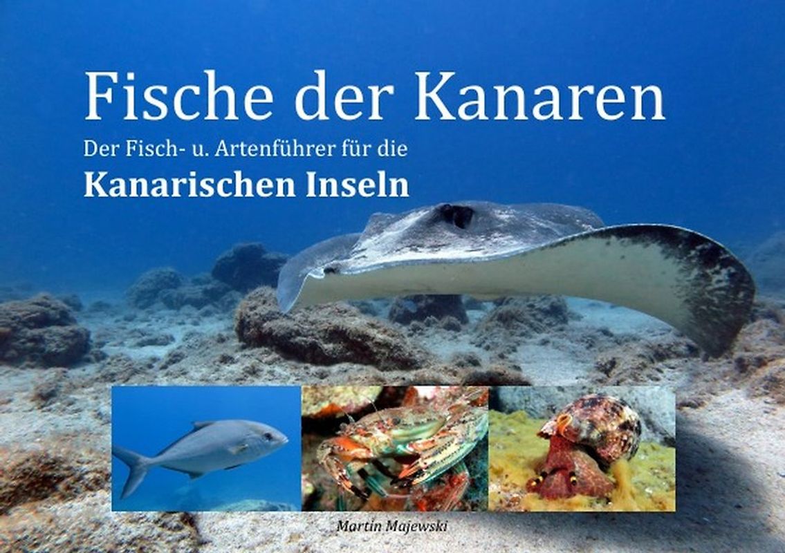 Fische der Kanaren