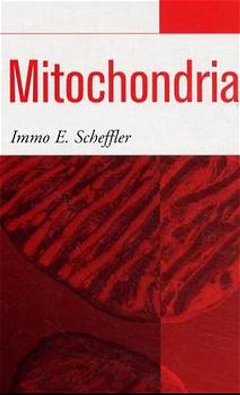 Mitochondria