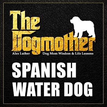 The Dogmother: Spanish Water Dog: (Dog Mom Wisdom & Life Lessons)
