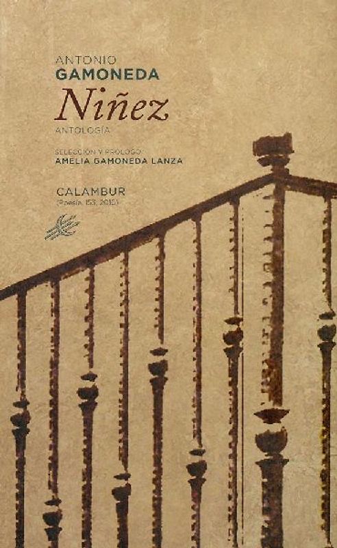Niñez