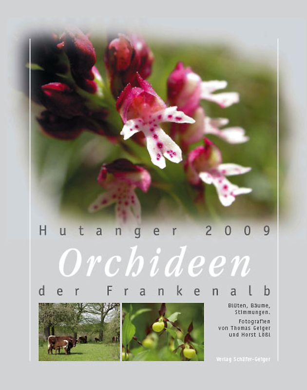 Hutanger 2009 - Orchideen der Frankenalb